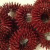 Anello elastico Sujok per il massaggio ROSSO taglia 3