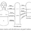 Il miracolo della foglia di Palma - immagine 6