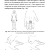Su Jok nelle emergenze - immagine 6