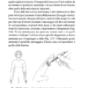 Su Jok nelle emergenze - immagine 5