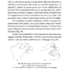 Su Jok nelle emergenze - immagine 2